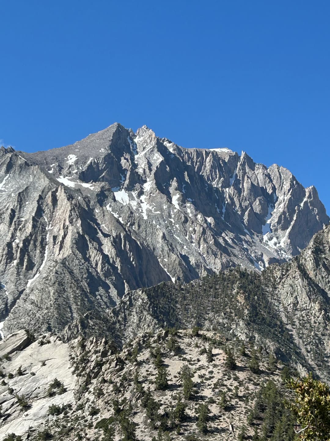 North face of Williamson. Long twisting rib is center frame, first arcing left then right, then staight up to the west horn. Summit is above small snow patch on the right.